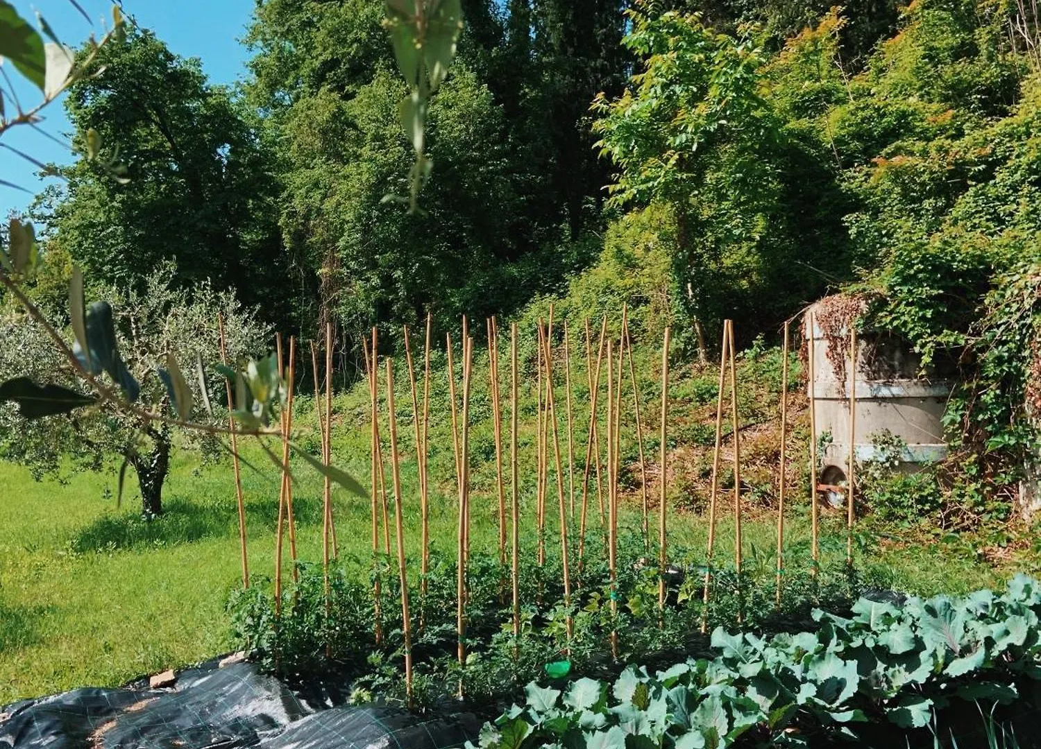 Farm stay Agriturismo Val Villa Costermano Italy