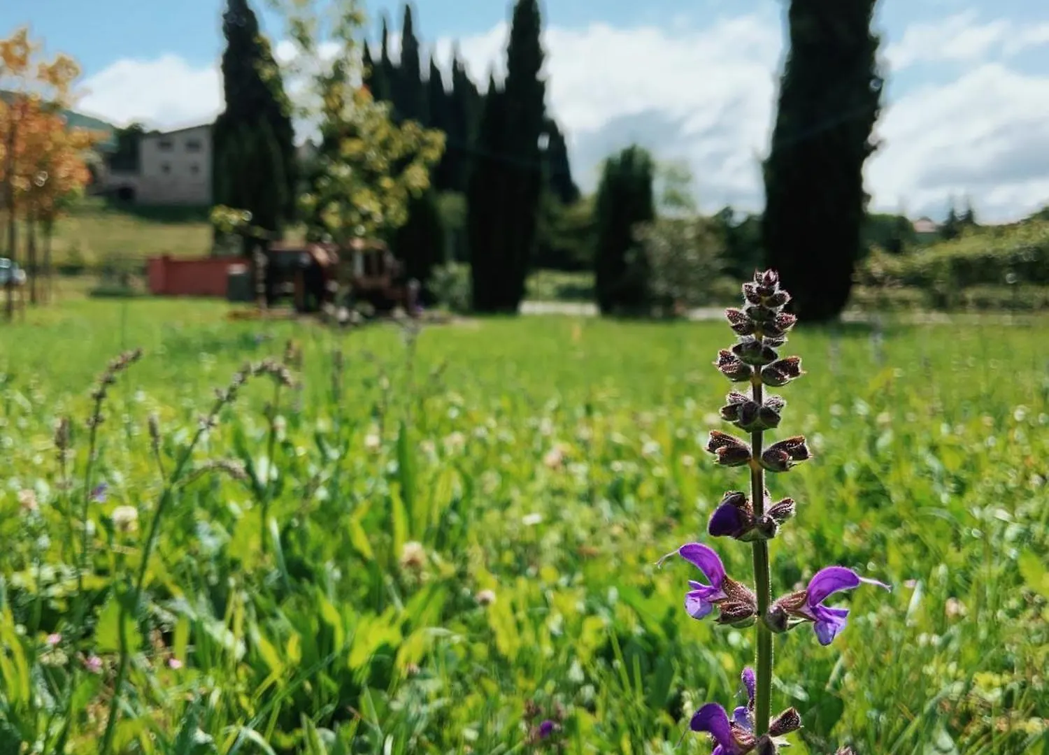 Farm stay Agriturismo Val Villa Costermano